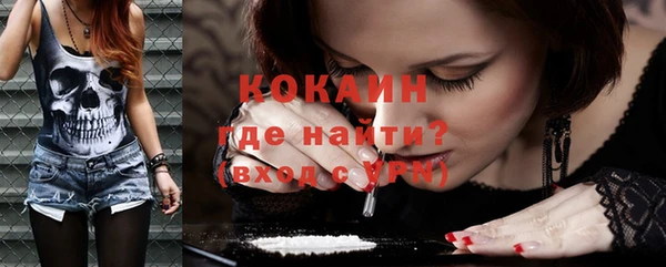 сатива Беломорск