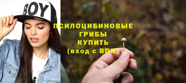 метадон Богданович