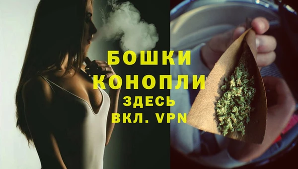 метадон Богданович