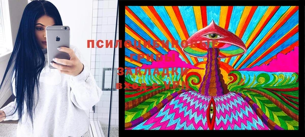 COCAINE Богородск