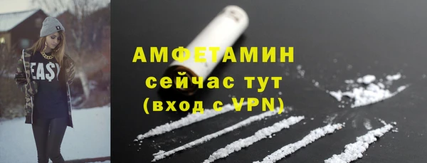 метадон Богданович
