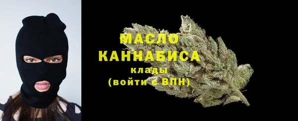 метадон Богданович