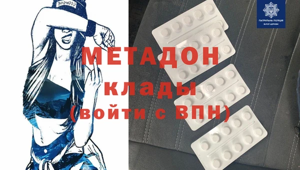 сатива Беломорск