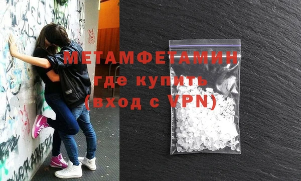 сатива Беломорск