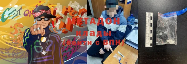 сатива Беломорск