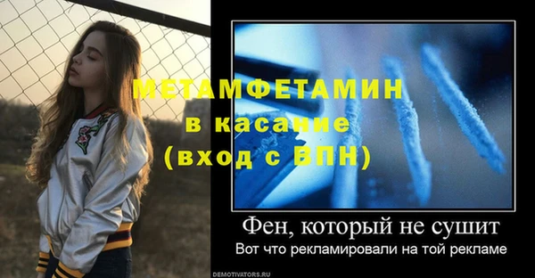 сатива Беломорск