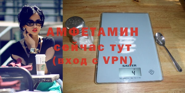 сатива Беломорск
