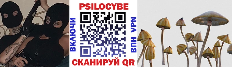 Псилоцибиновые грибы прущие грибы  Володарск 